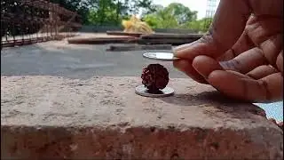 Japam Rudraksha Fraud🤬🤬🤬🤬 #mahashivratri #2025 mahashivratri plan flop REAL OR FAKE 😦