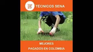 top 25 tecnicos sena mejores pagados en colombia