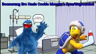 Boomerang Bro Heals Cookie Monster's Eyes/Ungrounded