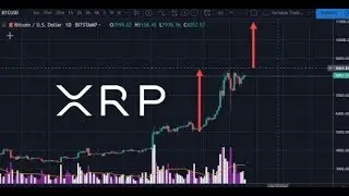 Bitcoin To $11K Level?, Earn 7.3% Interest On XRP And Ripple