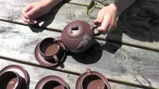 WILD MINT TEA