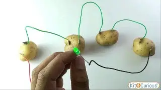 How to make Potato battery - 100% working