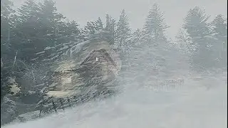 Deep Snowstorm & Whistling Cold Wind for Deep Relaxation & Sleep ❄️