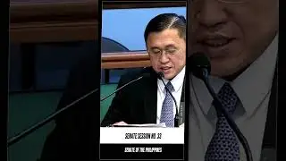 Hontiveros: Healthcare Medical Program assistance Act, Sponsoring the Bill