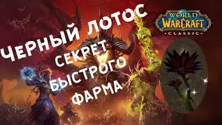 Черный лотос ВОВ Классика - секрет фарма! Лёгкий голдфарм| Black lotus WOW Classic -  fast farming.