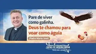 Pare de viver como galinha. Deus te chamou para voar como &aacute;guia (Padre M&aacute;rio Jos&eacute;)