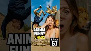 a different kind of animal fails memes #funny #funnyanimals #memes