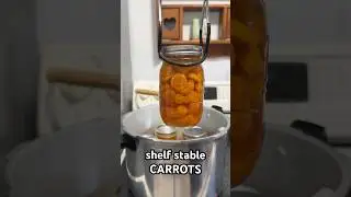 My fav thing to have on my cantry shelf 🥕 #canning #canningandpreserving #foodpreservation