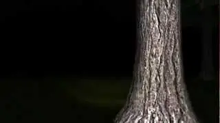 Телепузики нахуй[кислота]