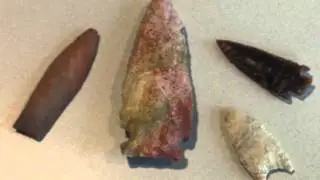 Favorite Paleo Finds: A Look Back, Steele County