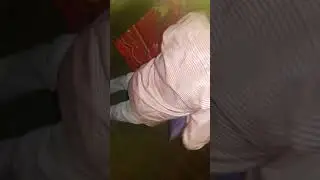 AlimRaini MatkaBazar