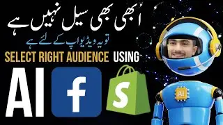 Facebook Ads Audience Selection for Local eCommerce in Pakistan with AI | Shopify Dropshipping