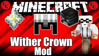 Minecraft Mods:   