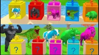 &ldquo;Kids Educational Animation: Funny 3D Animal Long Slide Game  Cow, Elephant, Gorilla, Hippo & Tiger