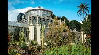 Palm House 5, Adelaide Botanic Garden, Adelaide, Australia