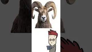 Super Short Summary of Zodiac Signs &ndash; Part 1: Aries