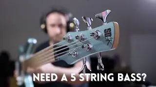 Обзор бас-гитары Ibanez Sound Gear