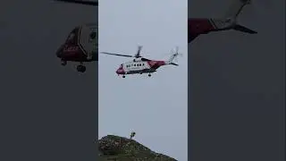 🚨 DRAMATIC DOG RESCUE