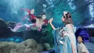 ✨ A magical moment under the sea ✨#Zhengzhou #MermaidShow #OceanMagic