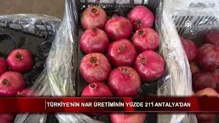 T&uuml;rkiye'nin nar &uuml;retiminin y&uuml;zde 21'i Antalya'dan
