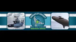 Science in Action: Research that Drives Cetacean Conservation
