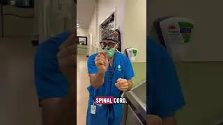 Anterior Cervical Discectomy with Fusion!ACDF!! ✨️ #healthiswealth #tampabay #viral #foryoupage