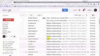 Total Funnel System Leads Daily