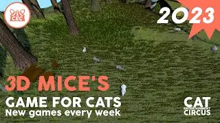 3D CAT CRAZY GAME  4K 15+ Minutes - Catch mouse with sounds