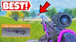 THIS IS WHY EVERY PRO PLAYERS USE SKS!