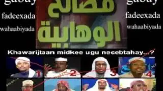 gabay fadeexada wahaabiyada