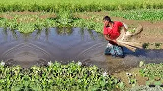 Amazing Net Fishing Video - Cast Net Fishing In Pond - Poor Fisherman Try Catch Fish
