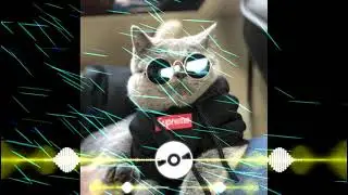 watch me phi thành remix (nhạc hot tik tok)