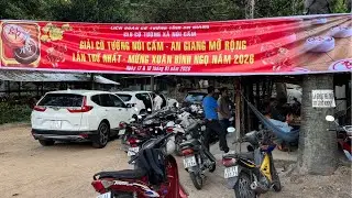 [Trực Tiếp Cờ Tướng] Vòng 01: Giải Vô Địch Cờ Tướng Lâm Viên Núi Cấm An Giang