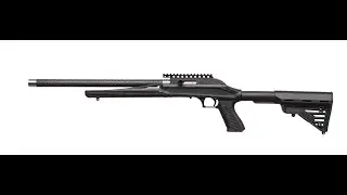 Magnum Research MLR. Ruger 10/22 на 