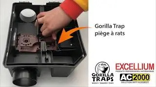 Pi&egrave;ge &agrave; rats Gorilla Trap et poste d&rsquo;app&acirc;tage Vanguard : &ccedil;a sonne un rat est pi&eacute;g&eacute; !