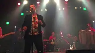 El Disco Anal - Los Amigos Invisibles (En Vivo Buenos Aires)