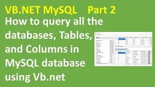 VB.NET MySQL Query all databases, Tables, and columns Part 2
