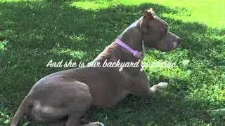 Ruby PACT Humane Society