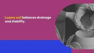 Soil Type Influence Basement Waterproofing Design