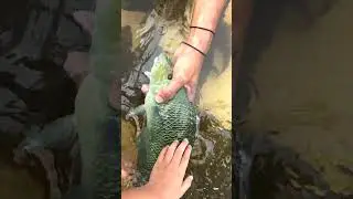 Unique DIY Fishing Solutions: Creative Techniques for Success #fishing