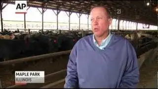 Ill. Cattle Producer Dismisses Mad Cow Concerns