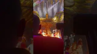AMAZING &lsquo;AWAKENING&rsquo; SHOW