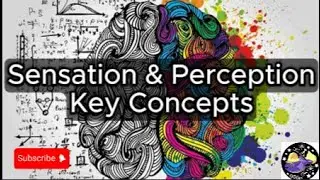 Sensation & Perception - Key Concepts Overview Questions Study Tool - Audio
