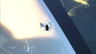 7 people shot in Lauderhill