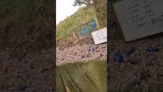 Smoking driven clays with Improved Cylinder & Evo 9's;  Mickley Hall - Jan 2026