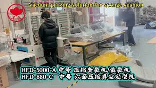 Compress packing machine vacuum compress packing shaping machine for sponge cushion HFD-880-C 