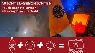 Wichtel-Geschichten: Auch nach Halloween k&ouml;nnen die N&auml;chte mystisch sein