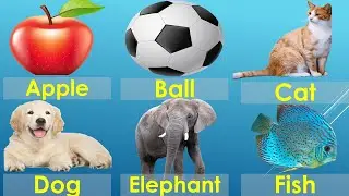 abcde english alphabets/a for Apple,b for Ball,c for cat/abcd phonics song Preschool & toddlers kids