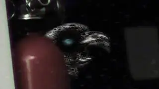 Don't Look At The Bird (Analog Horror)