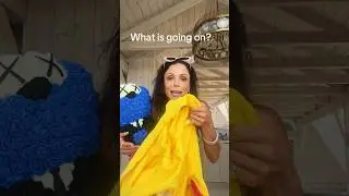 What Is Happening??? #gift #chicken #cookiemonster #sos